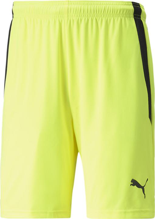 Image du produit Puma teamLIGA Shorts (XL)