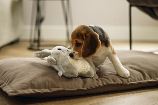 Immagine prodotto Beeztees Cucciolo Coccole Giocattoli e Simulatore di battito cardiaco
