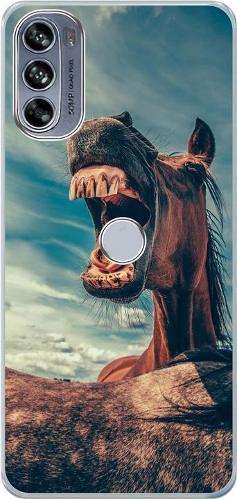 Funny horse