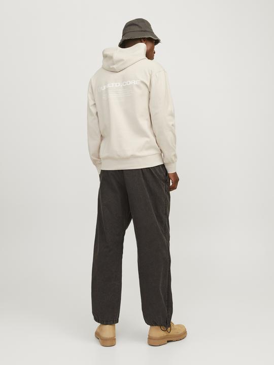 Immagine prodotto Jack & Jones Jcoaero Print Sweat Hood Noos (L)