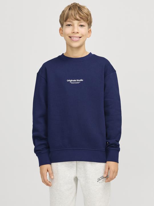Actual product image Jack & Jones Jorvesterbro Sweat Crew Neck Noos Jnr (140)
