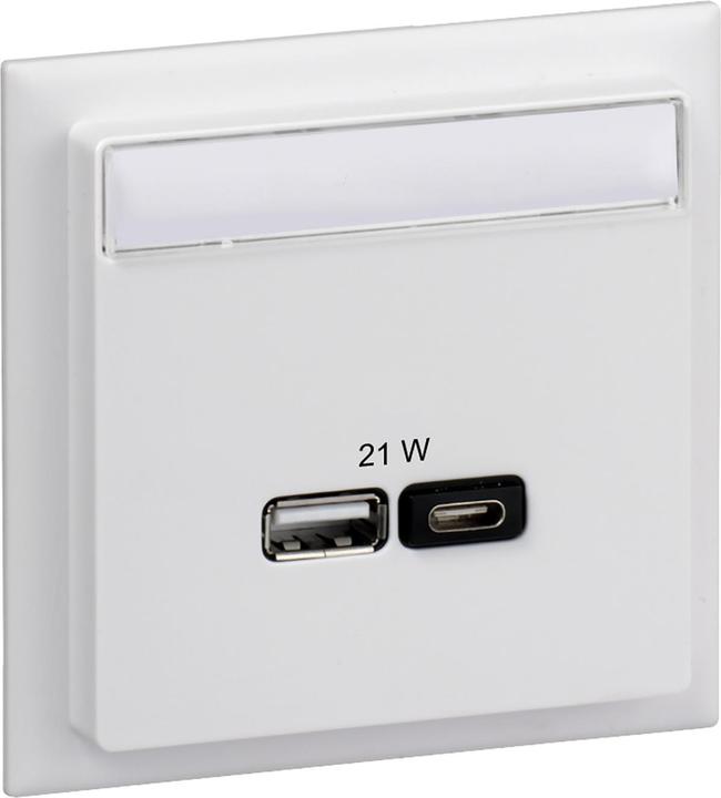 Actual product image Schneider Electric SE INS60522 USB charging cradle A+C 2 outputs max. 2 cover white labelling field