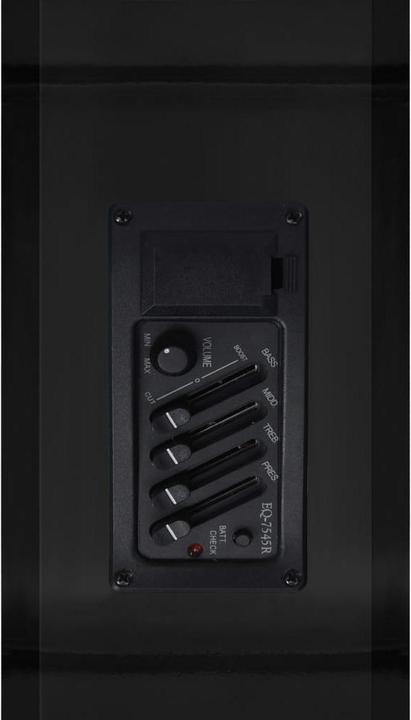 Actual product image VidaXL Yelva (Acoustic guitar, Duroplastic plastics, Lime wood)