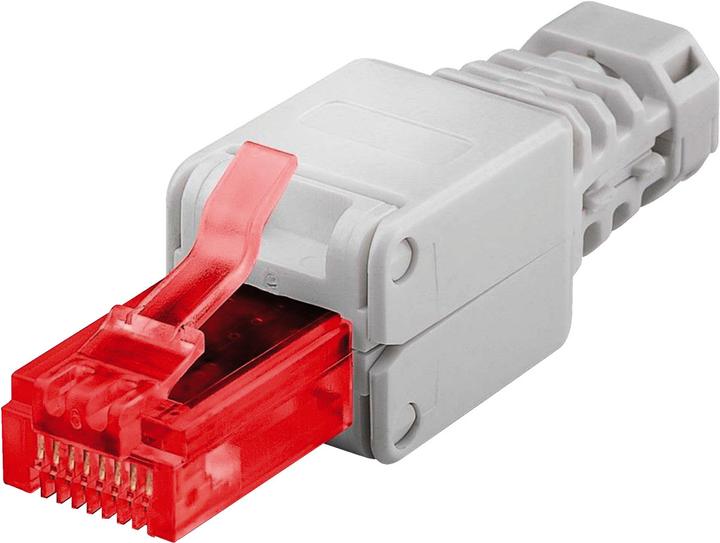 Goobay RJ45 Stecker CAT 6 UTP ungeschirmt (U/UTP, CAT6, 0.05 m)