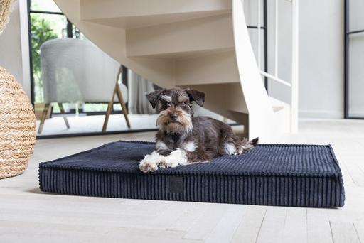 Image du produit Designed by Lotte Coussin pour cage Orthopaed Ribbed (Chien)
