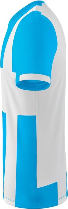 Image du produit Erima Maillot Siena 3.0 (152)