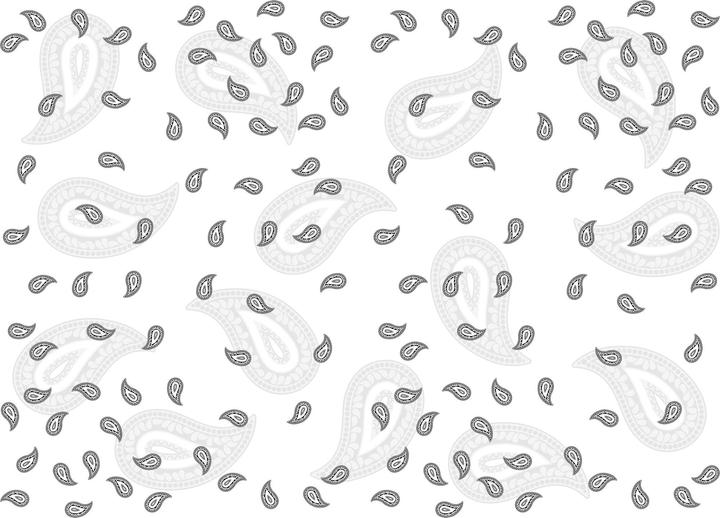 Actual product image Industyle Design Foulard / Scarf in Glarus Paisley Design, white