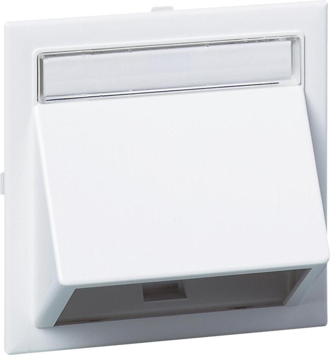 Schneider Angled data cap for Wall