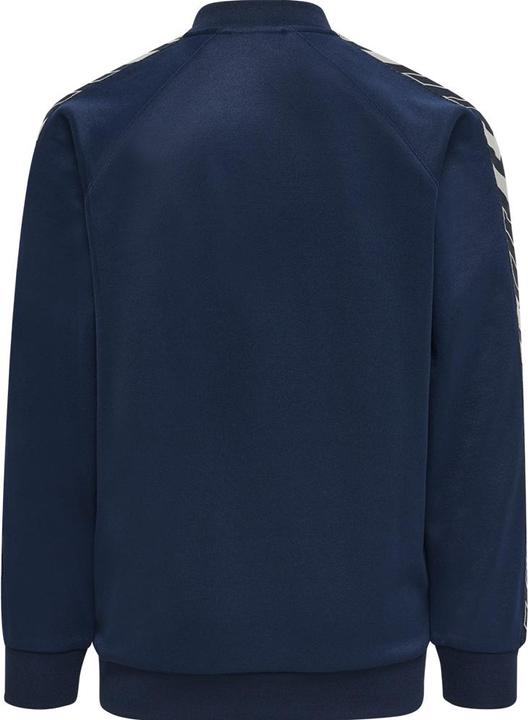 Actual product image hummel Jayce Zip Jacket (128)