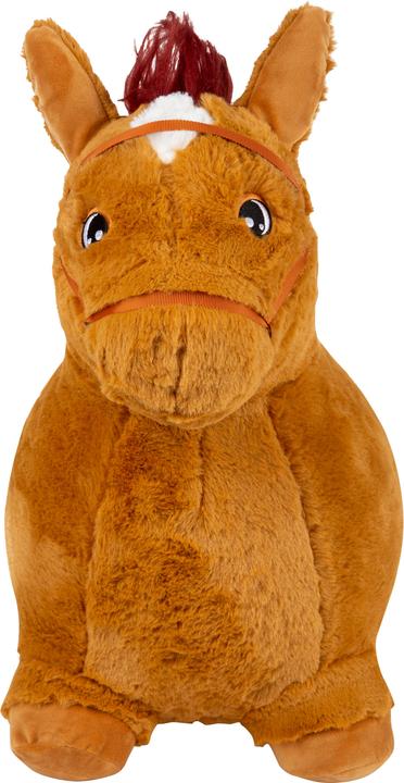 Image du produit small foot Cheval gonflable