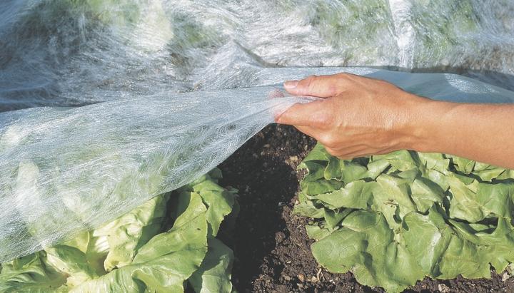 Produktbild Windhager Garten Vlies