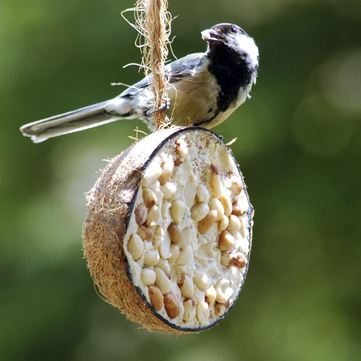 Produktbild Dobar Kokosnuss (10 x, 2.80 kg)