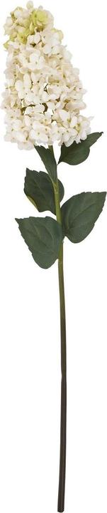Image du produit Hill Interiors Hortensia en forme de lance Fleur artificielle (88 cm)