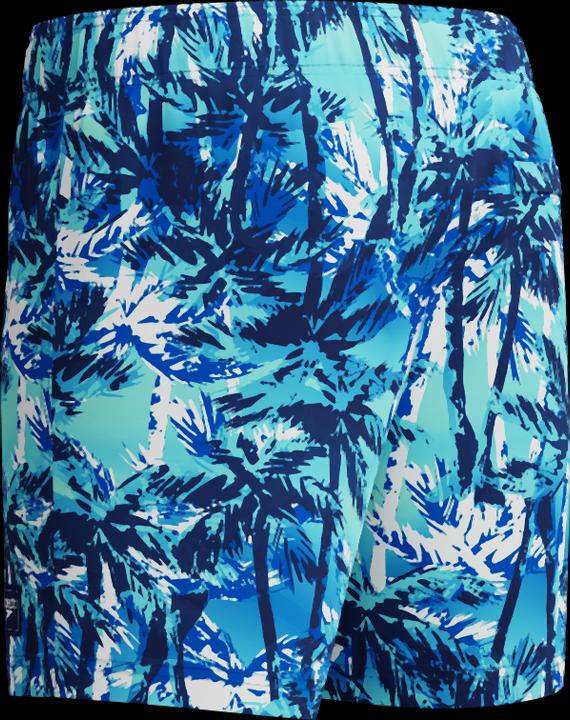 Image du produit Speedo Digi Printed 13" Watershort (L)