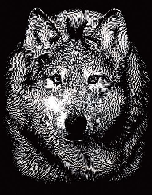 Immagine prodotto Reeves International Quadro a graffio "Lupo", argento, 11 x 18 cm