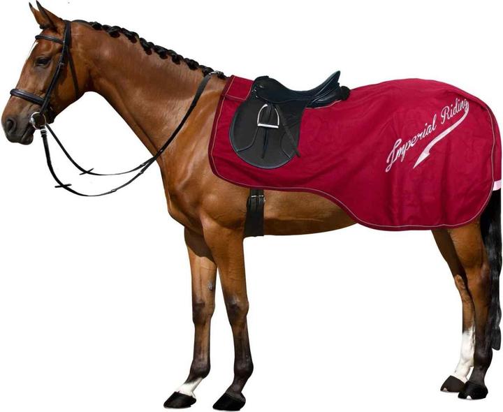 Image du produit Imperial Riding Super-dry 0gr (2 cm)