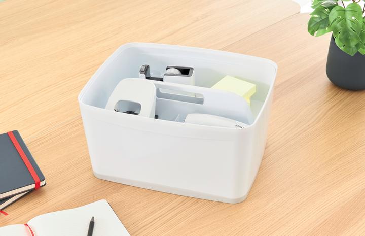 Immagine prodotto Leitz MyBox Large con coperchio (31,8 x 19,8 x 38,5 cm, 18 l)