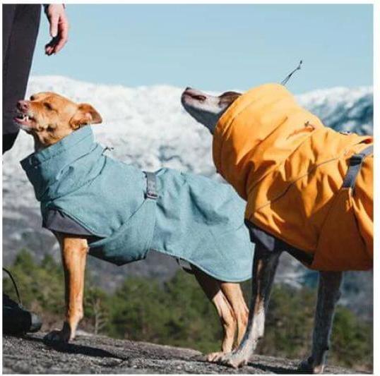 Produktbild Hurtta Expedition Parka buckthorn - Winter (45, Hundemantel)
