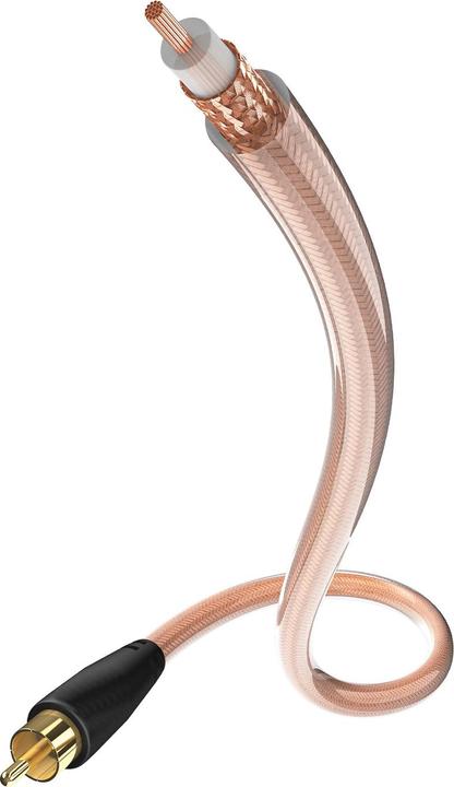 Actual product image Inakustik Star (10 m, Cinch)
