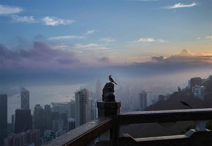 Image du produit Hongkong (Allemand, Palani Mohan, 2024)