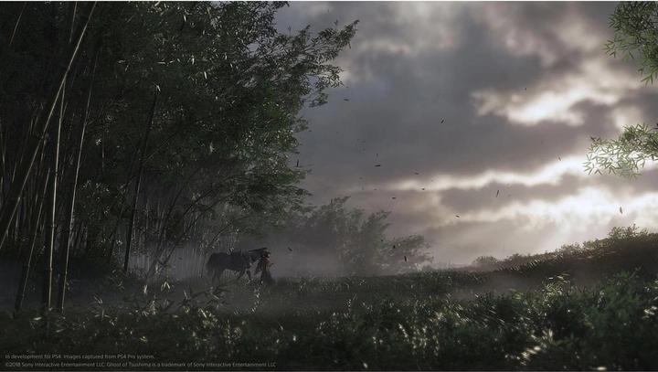 Actual product image Sony Ghost of Tsushima Director's Cut (PS5, Multilingual)