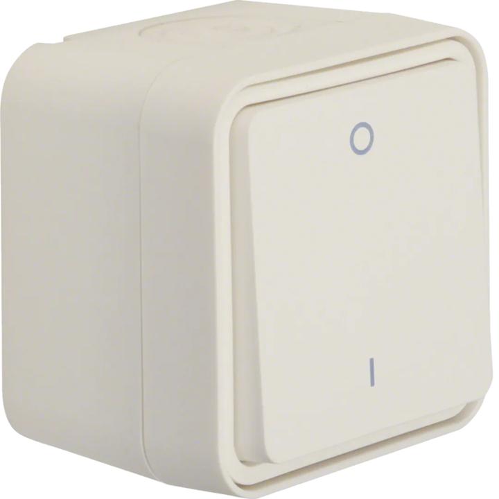 Actual product image Berker 30723502