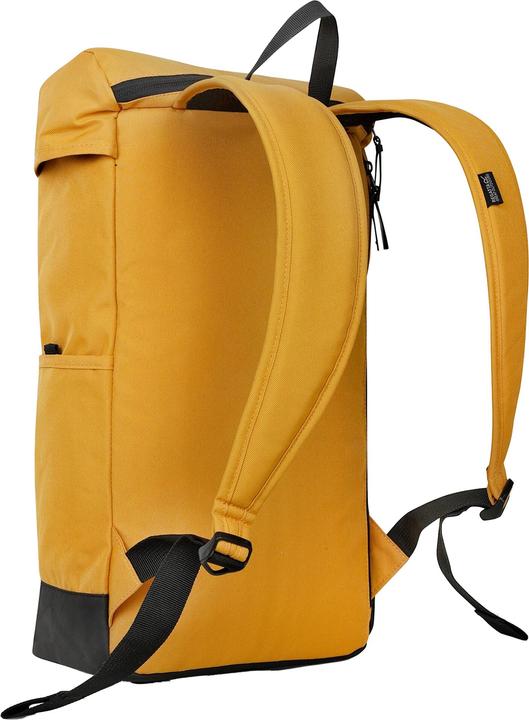 Actual product image Regatta Shilton II 15L Backpack (15 l)