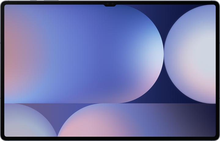 Samsung Galaxy Tab S10 Ultra (nur WLAN, 14.60", 512 GB, Moonstone Gray)