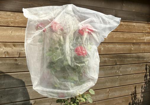 Produktbild Magni Rosenhaubenvlies 5er Set 0,8x0,75 m 17g
