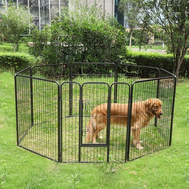 Actual product image Feandrea Doggo