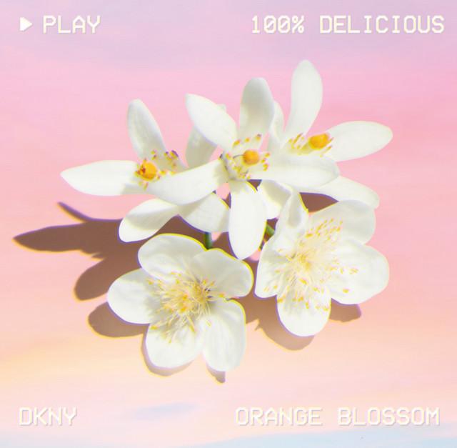 Image du produit DKNY Be 100% Delicious (Eau de parfum, 50 ml)