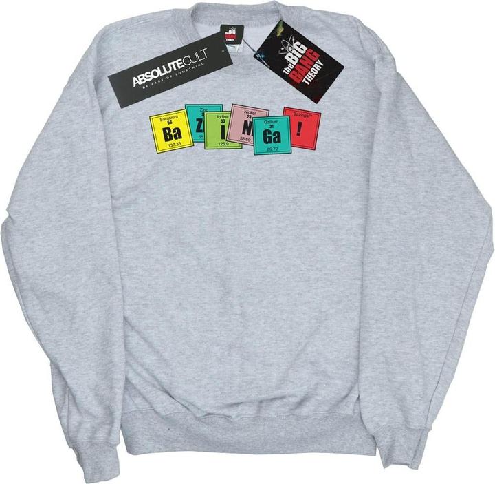 Image du produit Dam - Sweat BAZINGA ELEMENTS - Femme (XL)