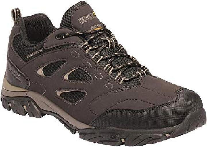 Produktbild Regatta Wanderschuhe Holcombe IEP Low (41)