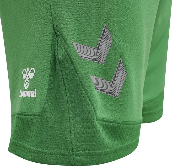 Image du produit hummel Lead Poly Shorts (XL)