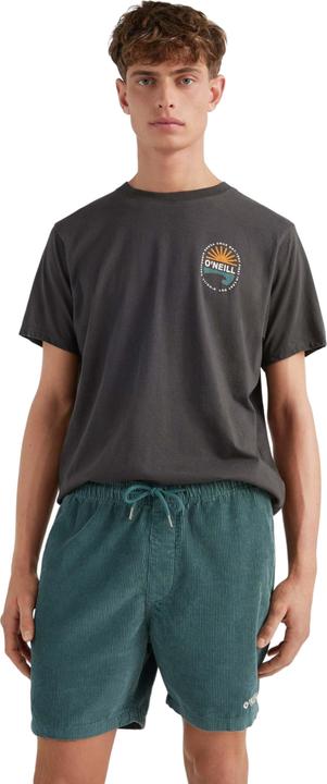 Actual product image O'Neill short camorro cord (XL)