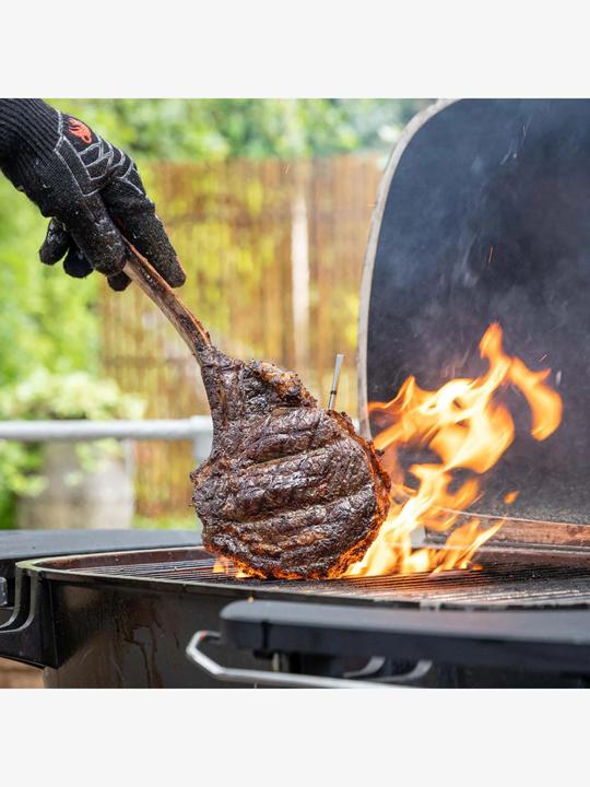 Actual product image Meater 2 Plus