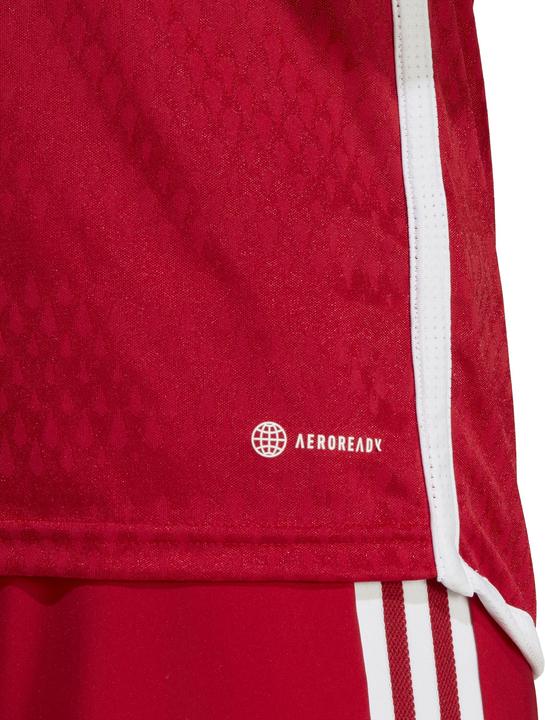 Image du produit adidas Maillot Tiro 23 Club Hommes (L)