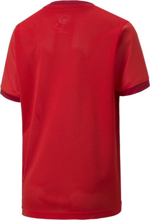Image du produit Puma teamGOAL 23 Jersey jr-704160 (128)