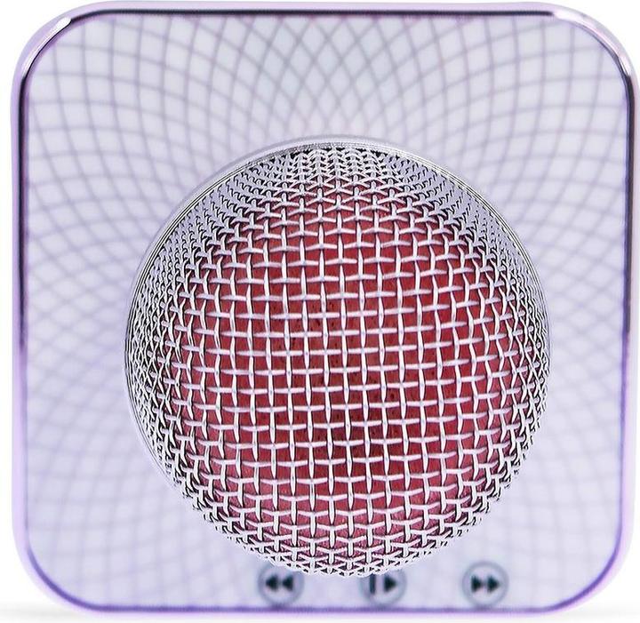Actual product image My Little Pony Karaoke Microphone