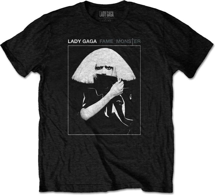 Lady Gaga Fame
