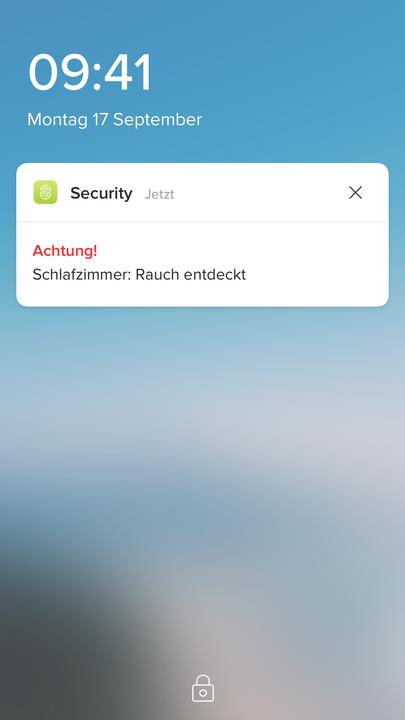 Produktbild Netatmo NSA-EC-2