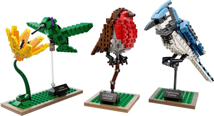 Image du produit LEGO Oiseaux sauvages (21301, LEGO Ideas)