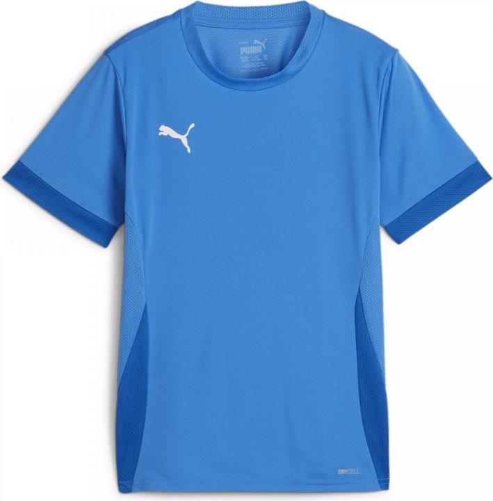 Actual product image Puma teamGOAL Matchday Jersey jr (128)