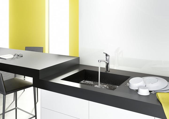 Immagine prodotto hansgrohe Focus Küchenarmatur