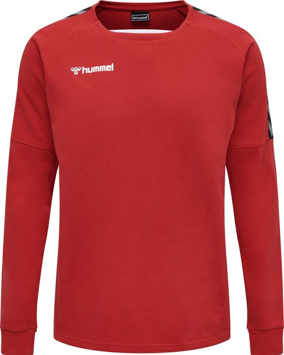 Actual product image hummel Authentic Training Sweat (S)