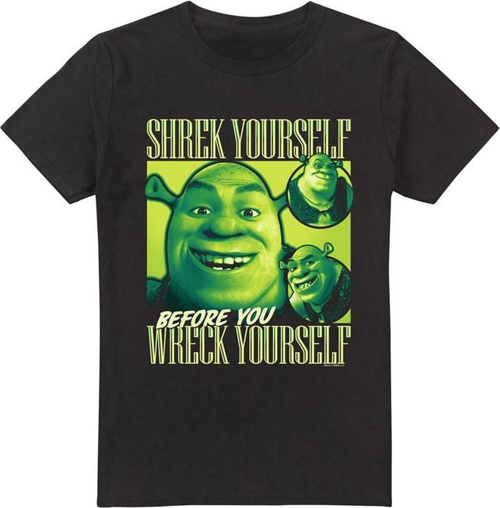 Actual product image Shrek Mens Yourself Bootleg T-Shirt (3XL)