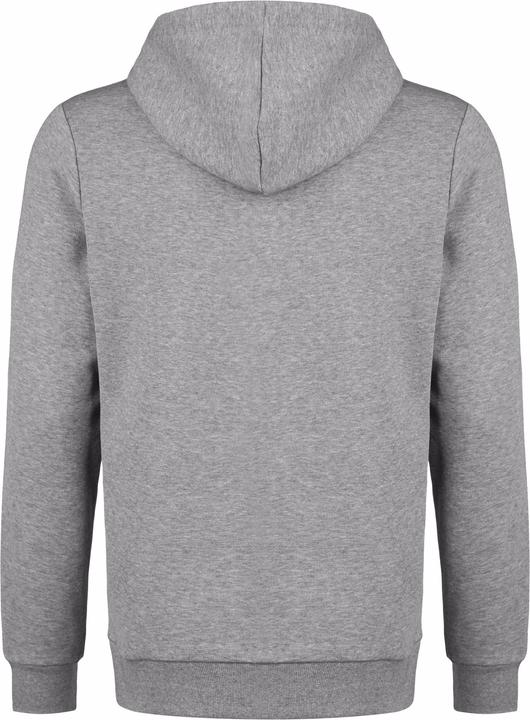 Actual product image Puma TeamGoal 23 Casuals Hoodie Men (S)
