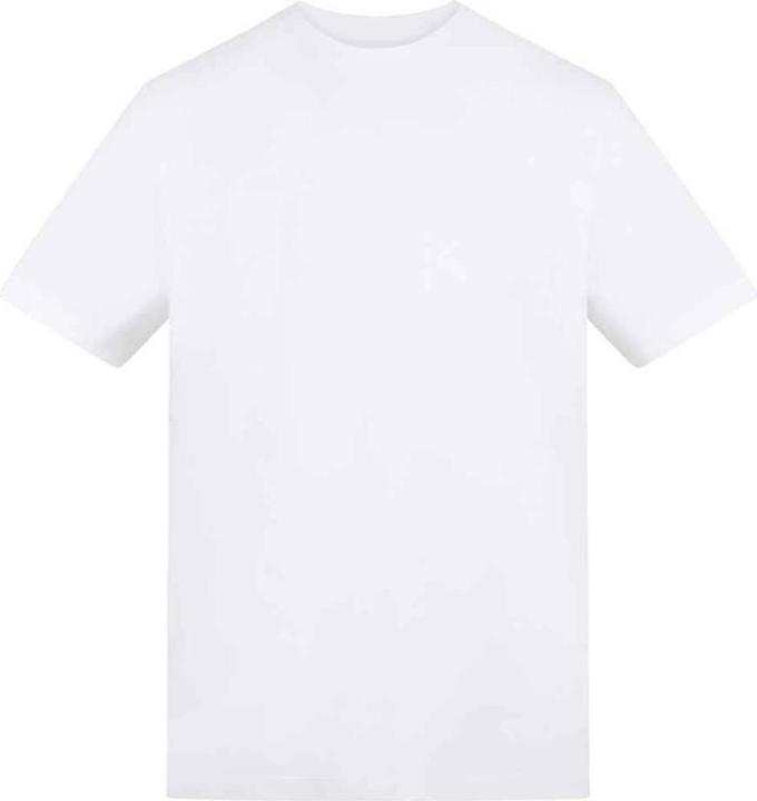 Arctic White