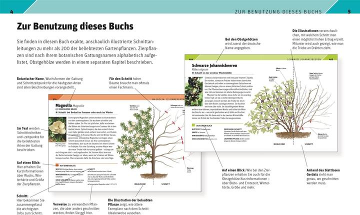 Produktbild Gartenwissen Pflanzenschnitt (Deutsch, Andrew Mikolajski, 2021)