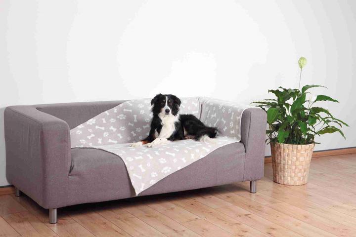 Immagine prodotto Trixie Kenny (Cane)